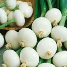 500 Onion Pickling Crystal White Wax Seeds Fresh Garden