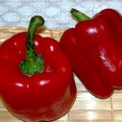 200 Pepper Sweet Autumn Bell 70 days Red Bell Pepper Seeds Fresh Garden