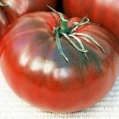 25 Cherokee Chocolate Tomato Seeds Fresh Garden