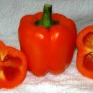 100 Sweet Coral Belle Pepper Sweet Pepper 80 days Seeds Fresh Garden