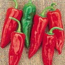 100 Pepper Chili Grande Pepper Chili Pepper Seeds Fresh Garden