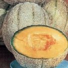 200 CANTALOUPE ers Jumbo Melon ers Cantaloupe Seeds Fresh Garden