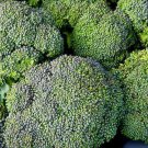3000 Broccoli Waltham 29 85 days Seeds Fresh Garden