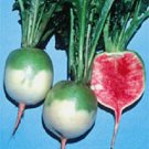 100 Valentine Radish RARE RADISH Seeds Fresh Garden