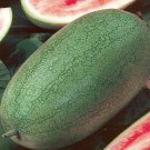 WATERMELON CHARLESTON GREY 100 Seeds Fresh Garden