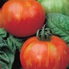 50 Tomato Mr. Stripey Seeds Fresh Garden