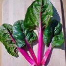 Swiss Chard Magenta Sunset 200 Seeds Fresh Garden