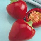 100 Sweet Pimento Pepper Sweet Pepper Seeds Fresh Garden