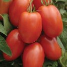 Roma Vf Tomato 78 days 500 Roma Tomato Seeds Fresh Garden