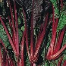 500 Swiss Chard Ruby Red 55 days Seeds Fresh Garden