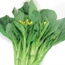1250 Gr Pointed Leaf Gailan Gai Lan Seeds; Chinese Kale Ships Free Fresh Garden