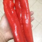 15 Giant Red Marconi Sweet Pepper Seeds From Italy 8 10In Large Fresh Garden 15 Giant Red Marconi Sweet Pepper Seeds From Italy 8 10In Large Fresh Garden