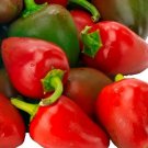 20 Sweet Premium Pimento Pepper Seeds B 49 Fresh Garden