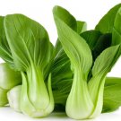 2500 Baby Pak Choi Bok Choy Chinese Cabbage Seeds Fresh Garden 2500 Baby Pak Choi Bok Choy Chinese Cabbage Seeds Fresh Garden
