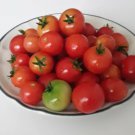 30 Tiny Tim Tomato Seeds Non Open Pollinated Dwarf Determinate Fresh Garden 30 Tiny Tim Tomato Seeds Non Open Pollinated Dwarf Determinate Fresh Garden