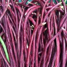 50 Yard Long Pole Bean Red Seeds Chinese Asparagus From Fresh Garden
