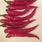 75 Red Long Cayenne Pepper Seeds Hot Open Pollinated Fresh Garden 75 Red Long Cayenne Pepper Seeds Hot Open Pollinated Fresh Garden