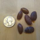 American Persimmon5 Authentic Seed Diospyros Virginiana Fresh Garden American Persimmon5 Authentic Seed Diospyros Virginiana Fresh Garden