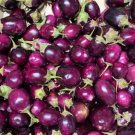 Baby Eggplant Purple Round Thai Indian 50 Seeds Organic Fresh Garden Baby Eggplant Purple Round Thai Indian 50 Seeds Organic Fresh Garden