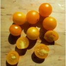 Birdie Jaune Micro Dwarf Sweet Cherry Tomato Vegetable 12 Seeds Fresh Garden Birdie Jaune Micro Dwarf Sweet Cherry Tomato Vegetable 12 Seeds Fresh Garden