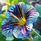 Blue Purple Velvet Trumpet Flowers Planting Easy Growing 20 Seeds Fresh Garden Blue Purple Velvet Trumpet Flowers Planting Easy Growing 20 Seeds Fresh Garden