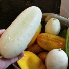 Cucumber Seeds White Wonder 15 Seeds Vegetable Variety Fresh Garden Cucumber Seeds White Wonder 15 Seeds Vegetable Variety Fresh Garden
