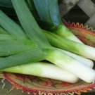 Giant Leek Onion Green Late Vegetable Planting Organic 50 Seeds Fresh Garden Giant Leek Onion Green Late Vegetable Planting Organic 50 Seeds Fresh Garden