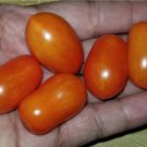 Laura #5 Micro Dwarf Tomato 12 Seeds Fresh Garden