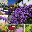 Lavender Vera 1 000 Seeds Spring Mosquito Insect Perennial Mixed Fresh Garden Lavender Vera 1 000 Seeds Spring Mosquito Insect Perennial Mixed Fresh Garden