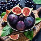 Organic 15 Fig Tree Seeds Ficus Carica Sweet Fruit Shrub Fruit Tree Fresh Garden Organic 15 Fig Tree Seeds Ficus Carica Sweet Fruit Shrub Fruit Tree Fresh Garden