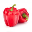 Sweet Red Bell Pepper 15 Seeds Fresh Garden Sweet Red Bell Pepper 15 Seeds Fresh Garden