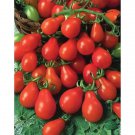 Tomato Red Pear 50 Seeds Organic Fresh Garden