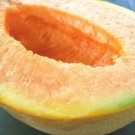 Yubari Melon Sweet Tasting Farm Planting Garden 25 Seeds Fresh Garden Yubari Melon Sweet Tasting Farm Planting Garden 25 Seeds Fresh Garden
