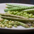 Zipper Cream Peas 50 Seeds Fresh Garden