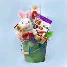 Easter - Jelly Belly Easter Fun Basket - JB451E