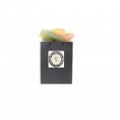 Sample Packet