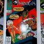 Thundercats 16-24 comic  book set; Newer photos!! Make Offer