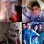 Poltergeist - 1 - 2 - 3 DVD Set - Horror ( Great condition)