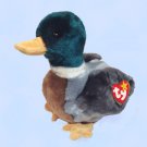 NEW (6) Ty Beanie Buddies JAKE The Mallard Duck