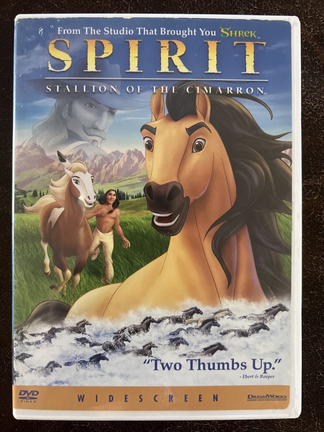 Spirit: Stallion of the Cimarron DVD