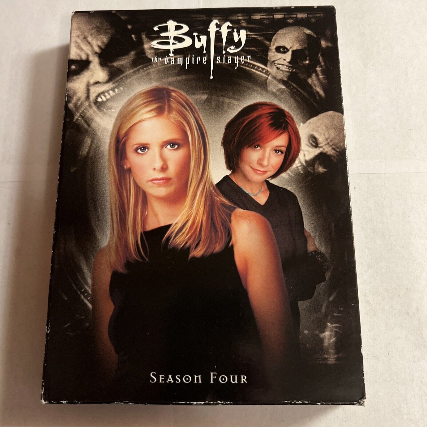 Willow Buffy: The Complete Beginner'S Guide. - pawzug4
