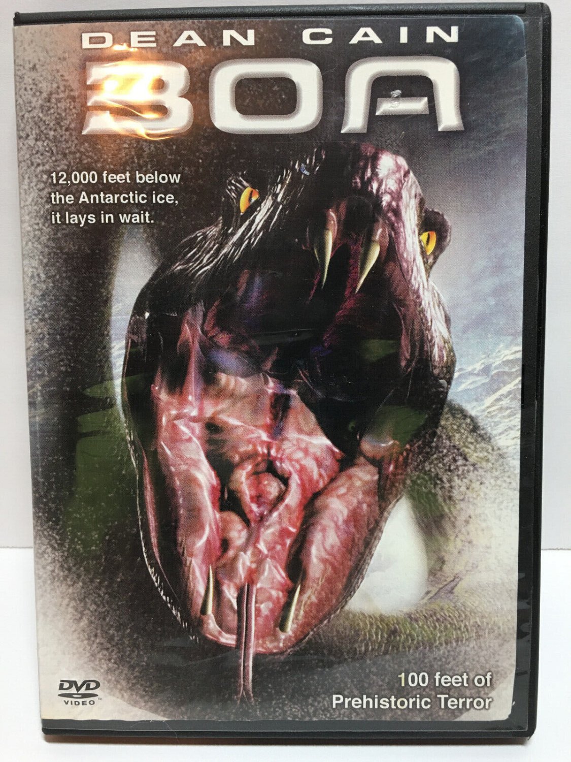 Boa DVD