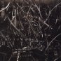 Chatterbox - Despite  (CD)