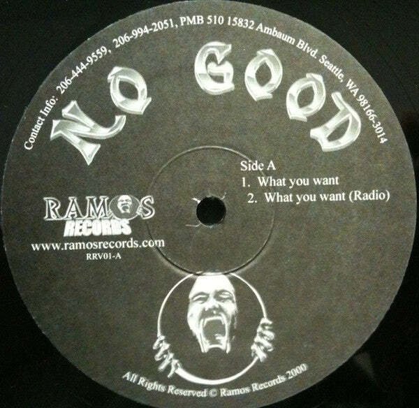 No Good Therapy - What You Want  (LP)