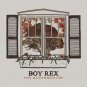 Boy Rex - The Bloodmonths (12")
