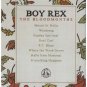 Boy Rex - The Bloodmonths  (12")