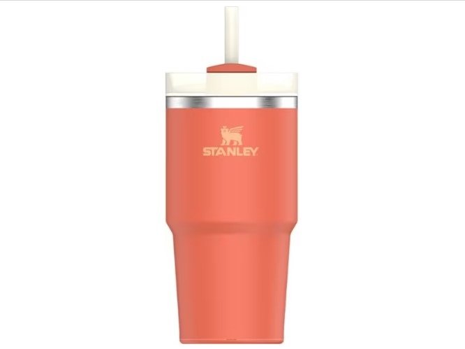 The Quencher H2.0 FlowState Tumbler  20 OZ – Stanleyus Official WebSite
