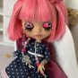 Custom Blythe Doll, Handmade Doll, Collectible Doll