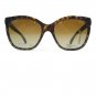 Cat Eye Frames with Brown Lenses - Brown Tortoise