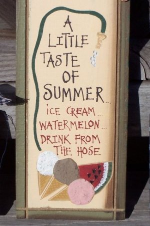 A Little Taste Summer Tropical Beach Wood Sign New